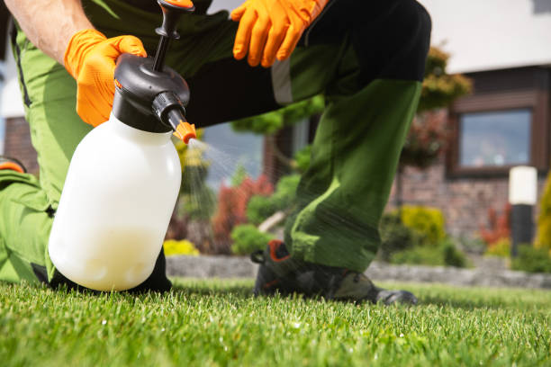Best Exterminator Services  in Lake Hamilton, AR
