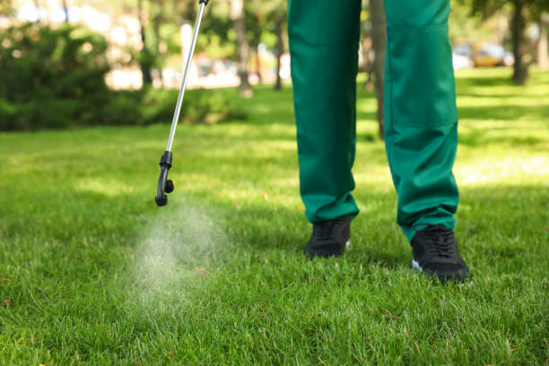 Best Rat Extermination Near Me  in Lake Hamilton, AR