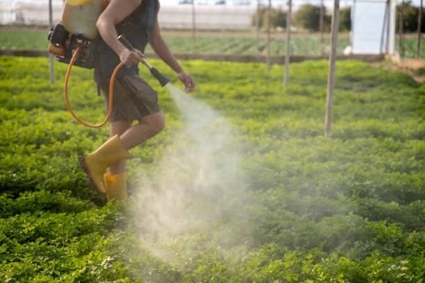 Best Commercial Pest Control Services  in Lake Hamilton, AR
