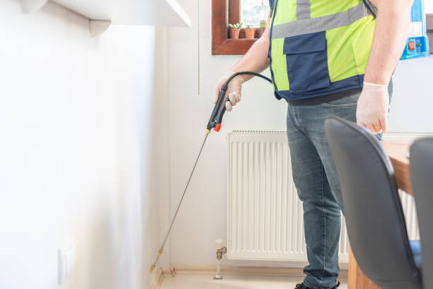 Best Termite Control Services  in Lake Hamilton, AR